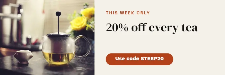 X Header template: Email Promo