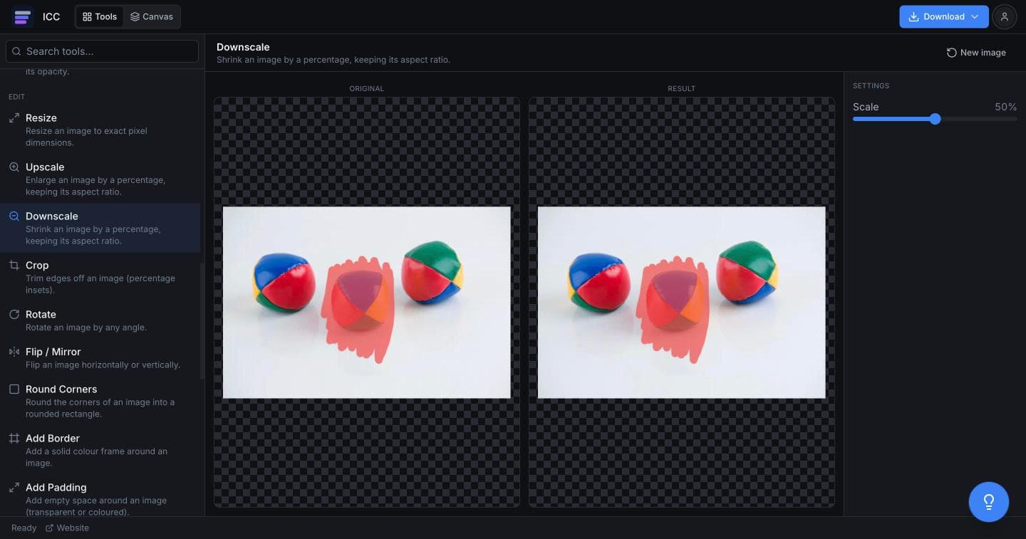 The Downscale tool selected in the Edit section of the tool directory, with a photo loaded and the Scale slider set to 50 percent